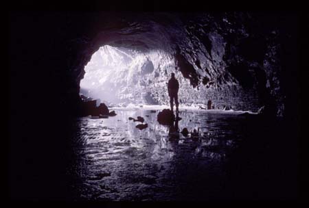 ishellent