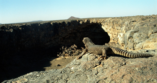 Collapse entrance 1 with Dhubb
