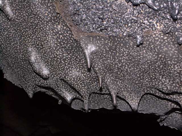 Microbial Growth in Kula Kai Caverns