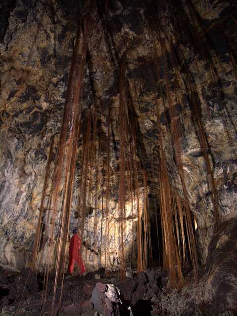 The Enchanted Forest in Xanadu Cave
